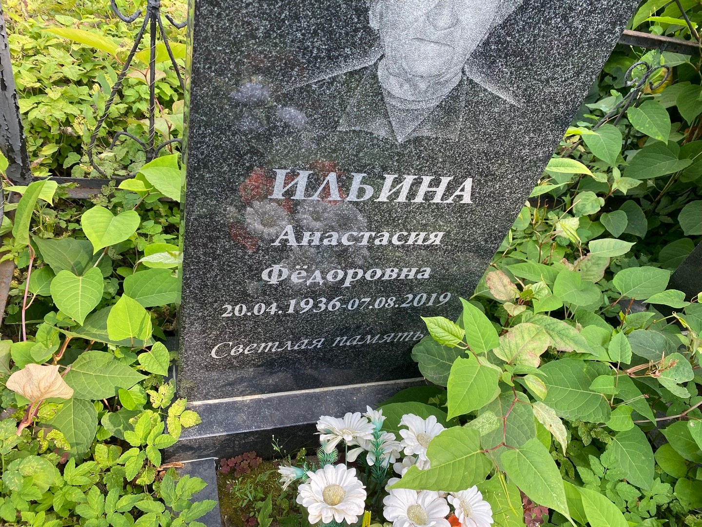 Ильина Анастасия Федоровна
