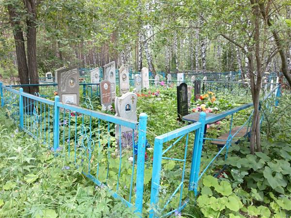 Нейленко Дмитрий Александрович