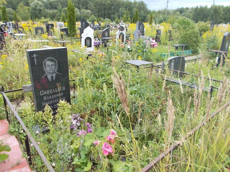 Сиволдаев Владимир Николаевич