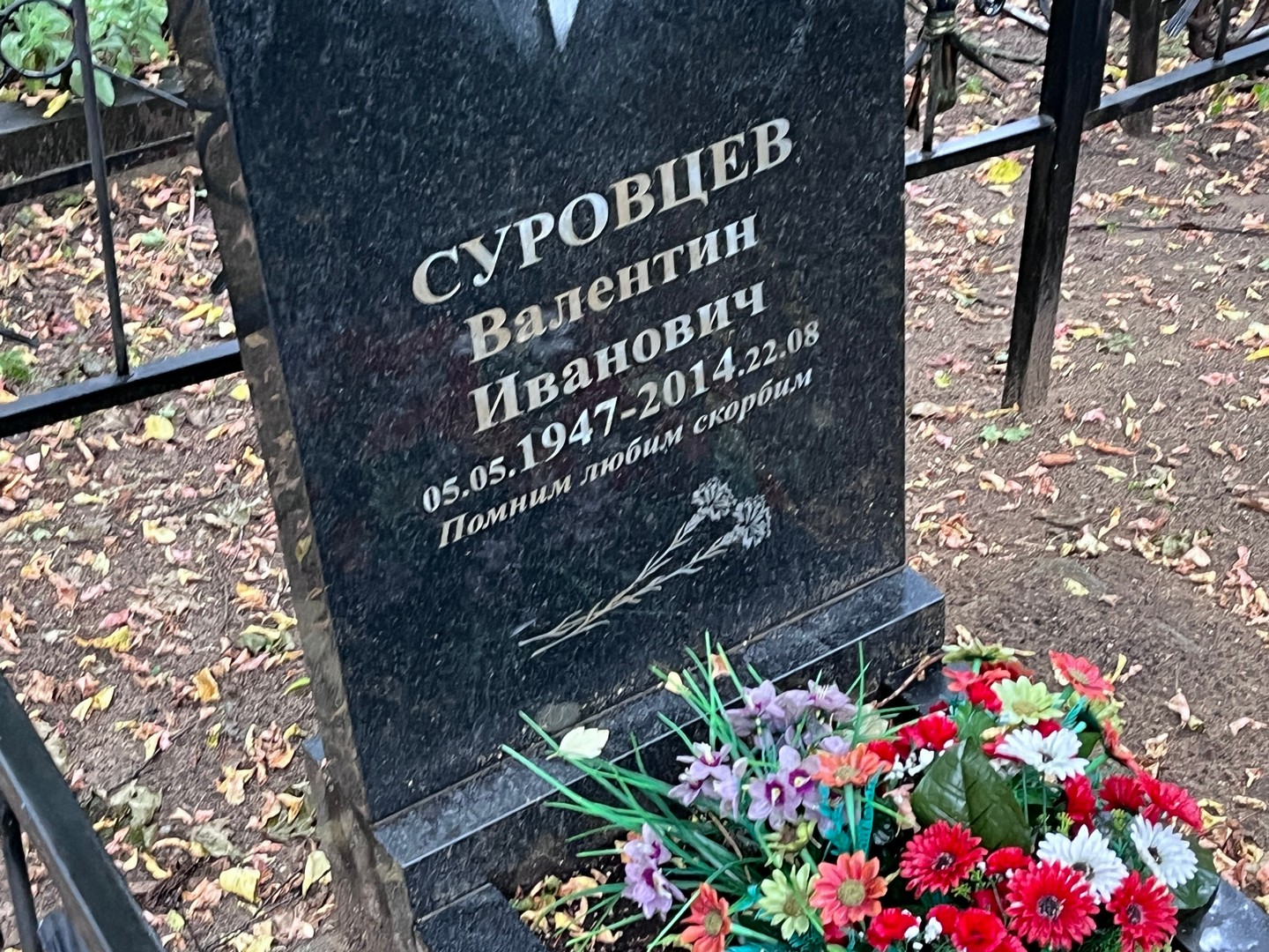 Суровцев