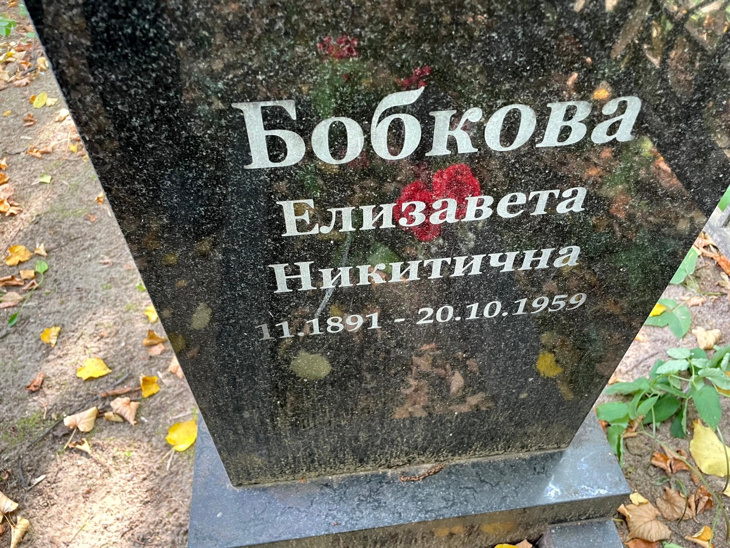 Бобкова
