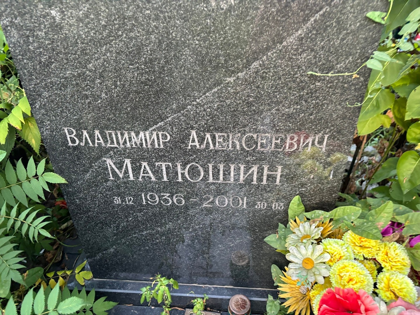 Матюшин