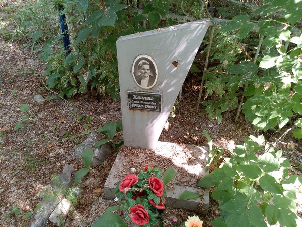 Котова Елена Николаевна