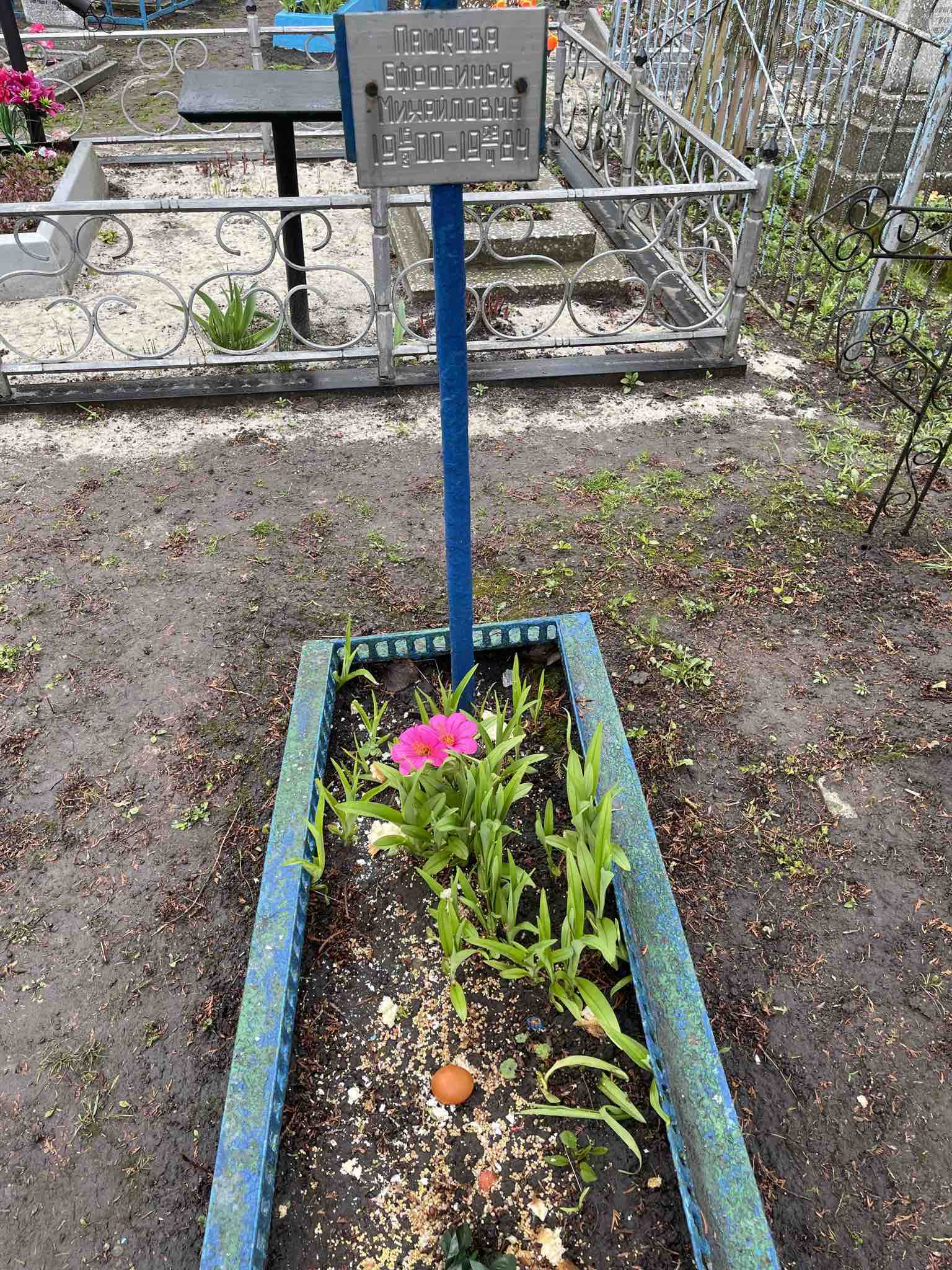 Пашкова Ефросинья Михайловна