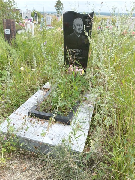 Миронов Григорий Николаевич