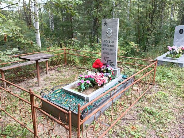 Мосеев Василий Семенович
