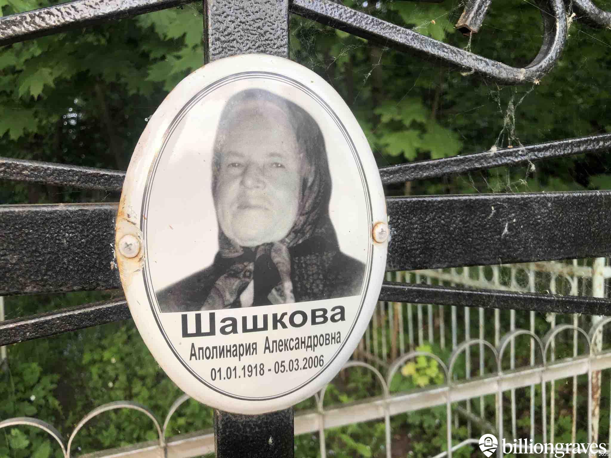 Шашкова Аполинария Александровна