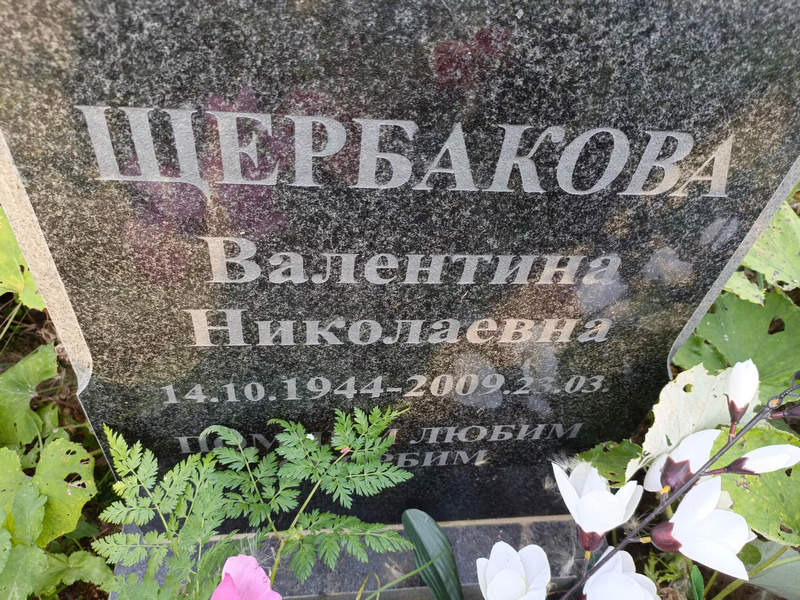 Щербакова