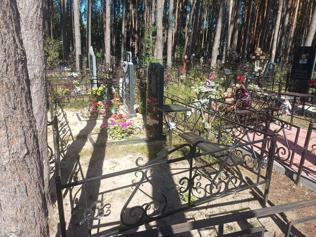 Солдатенков Владимир Николаевич