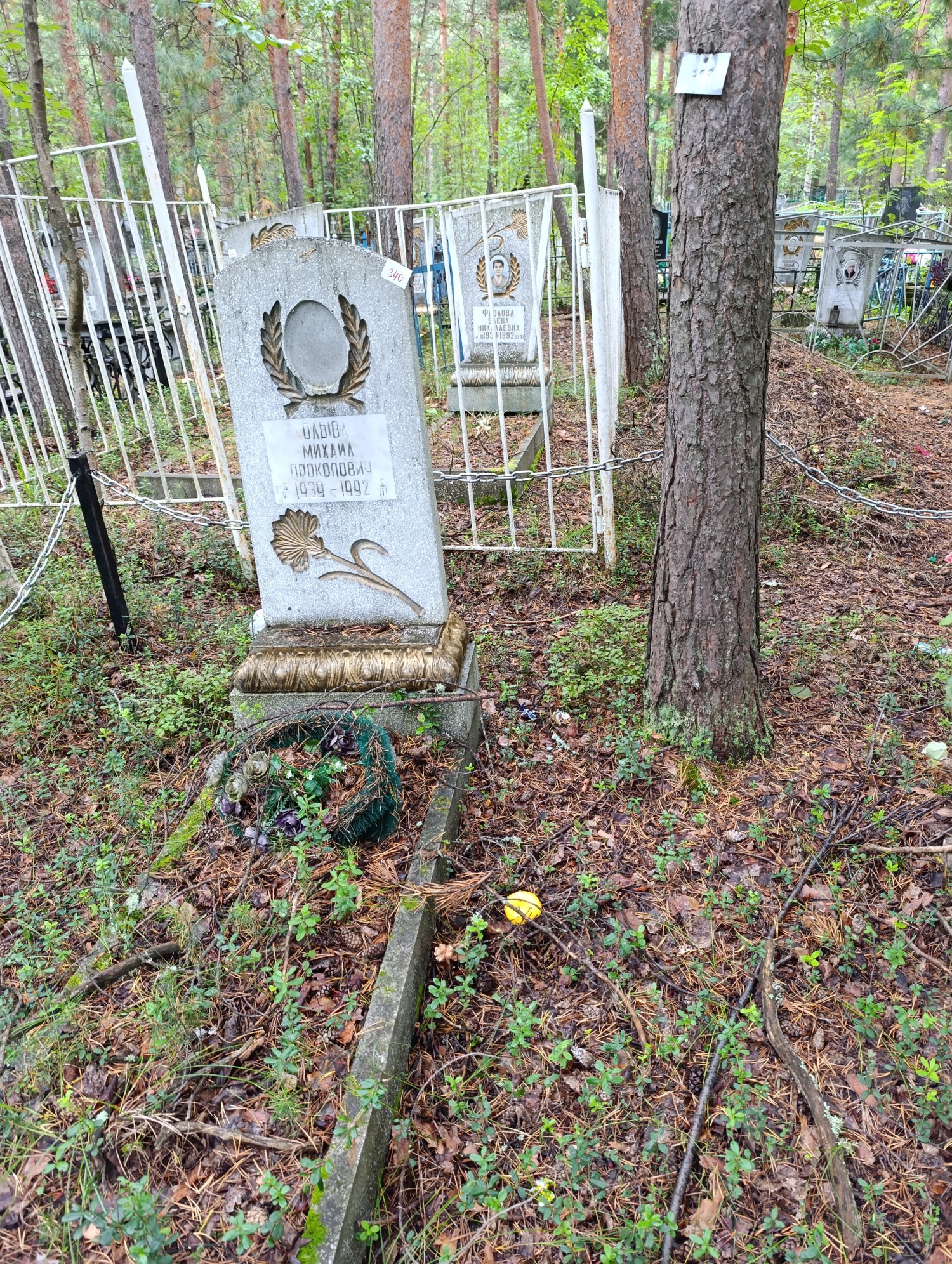 Олыва Михаил Прокопьевич