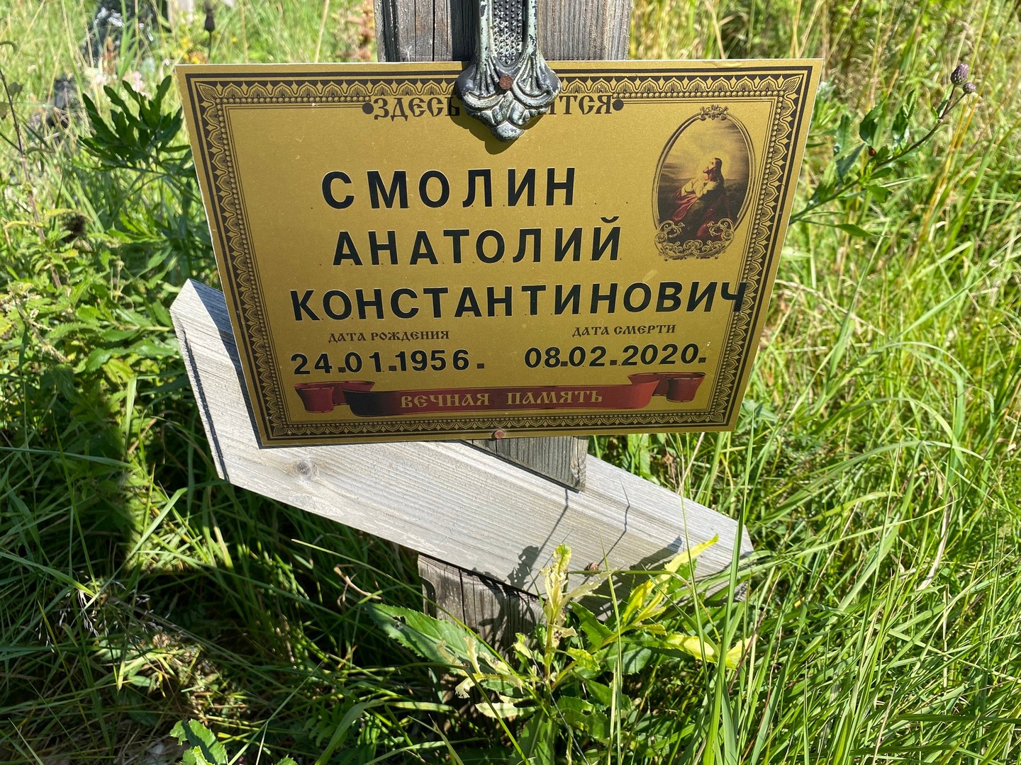 Смолин