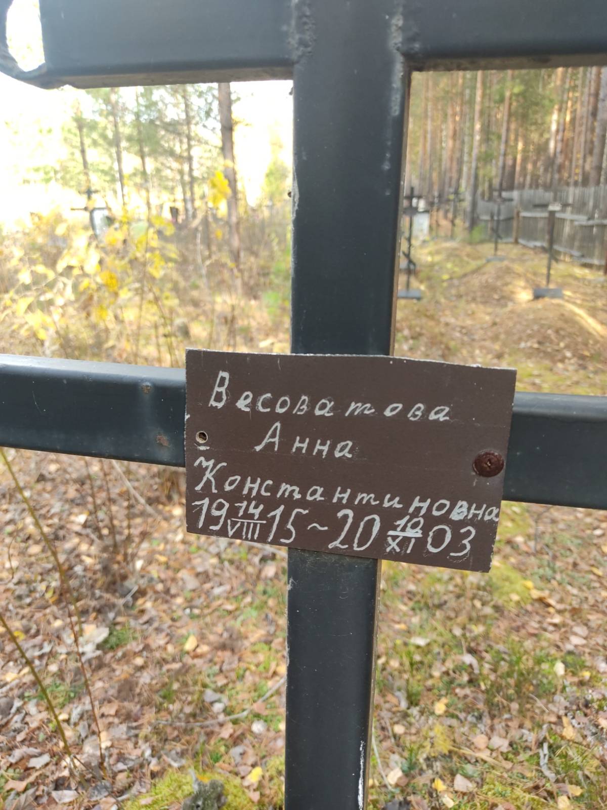 Весоватова Анна Константиновна