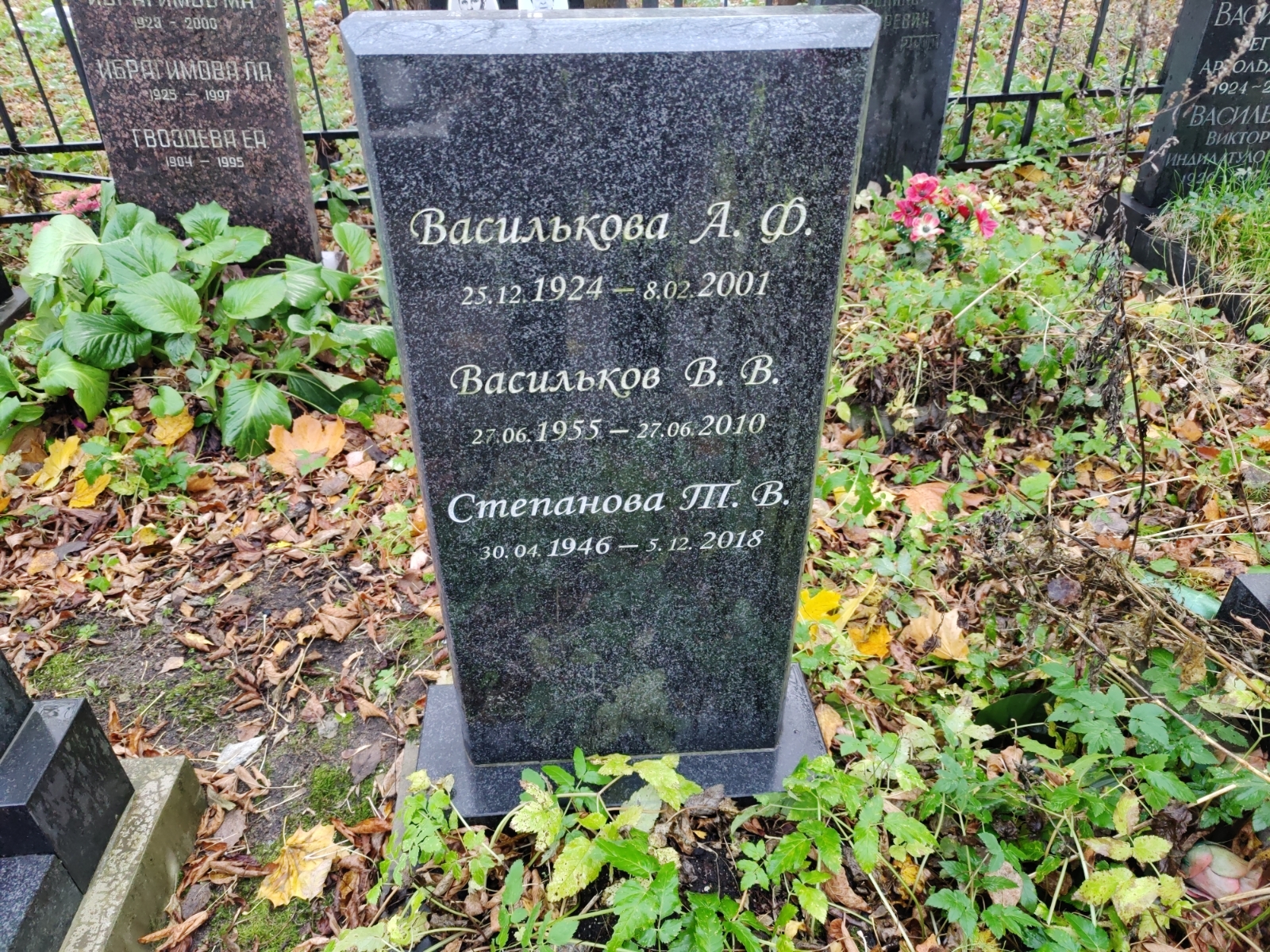 Васильков В. В.
