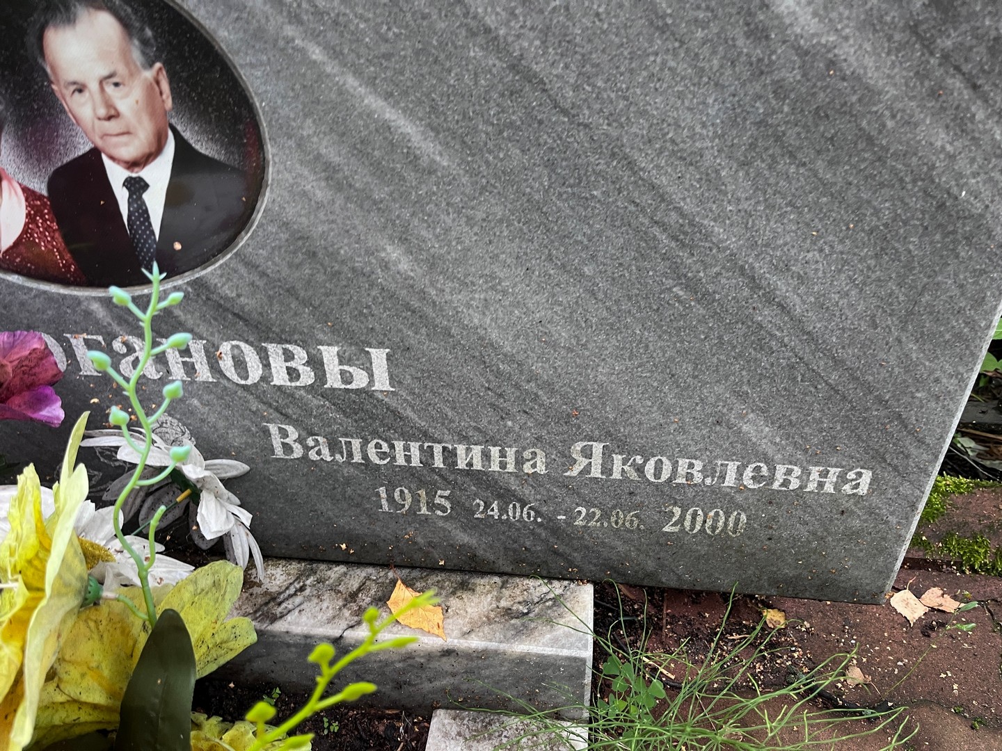 Строганова