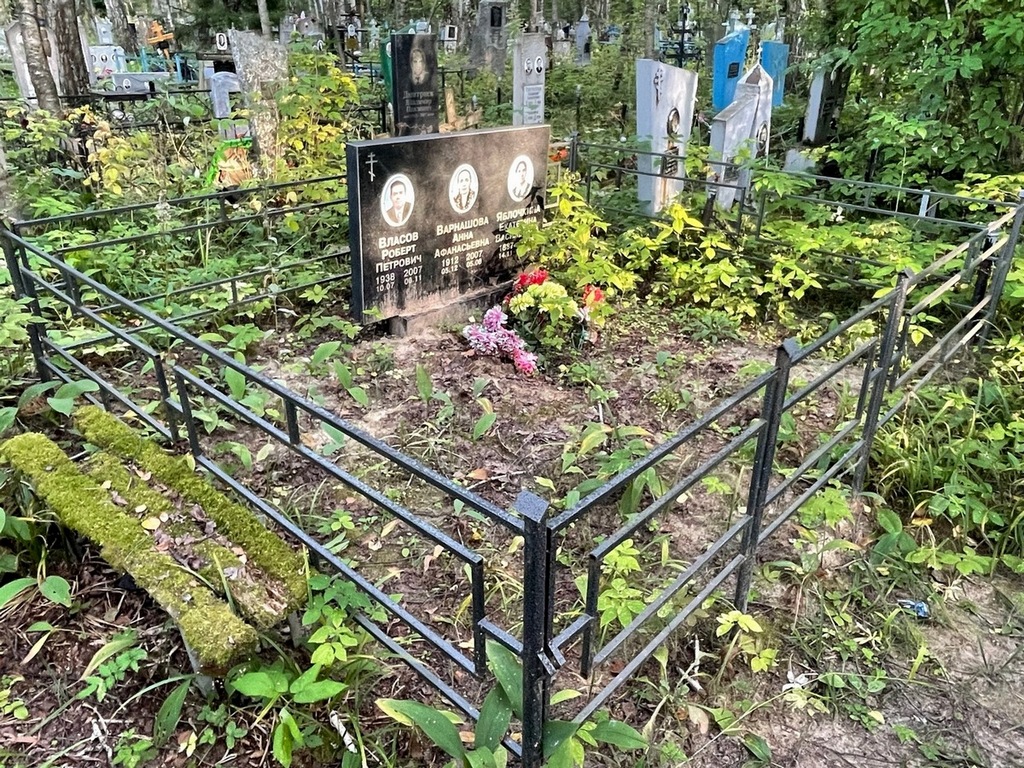 Власов Роберт Петрович