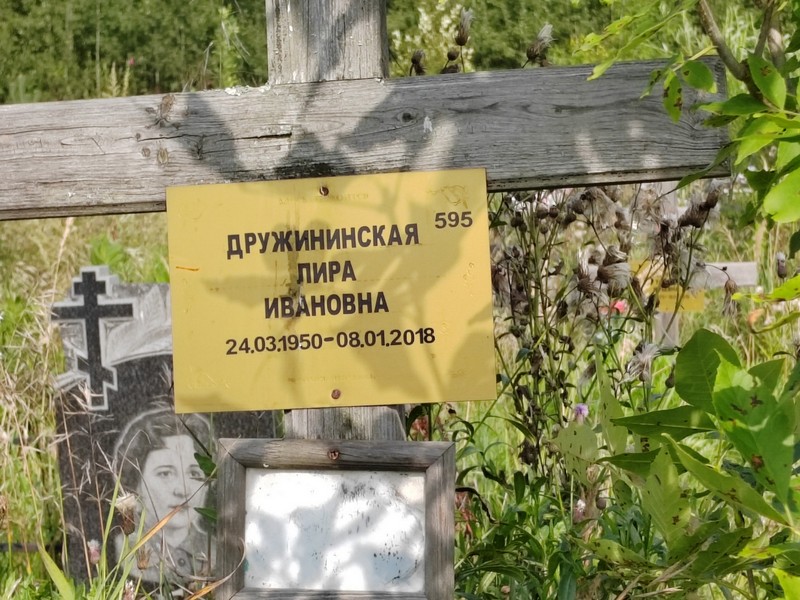 Лира Дружининская Ивановна