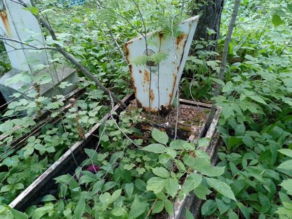Короткова Екатерина Андреевна
