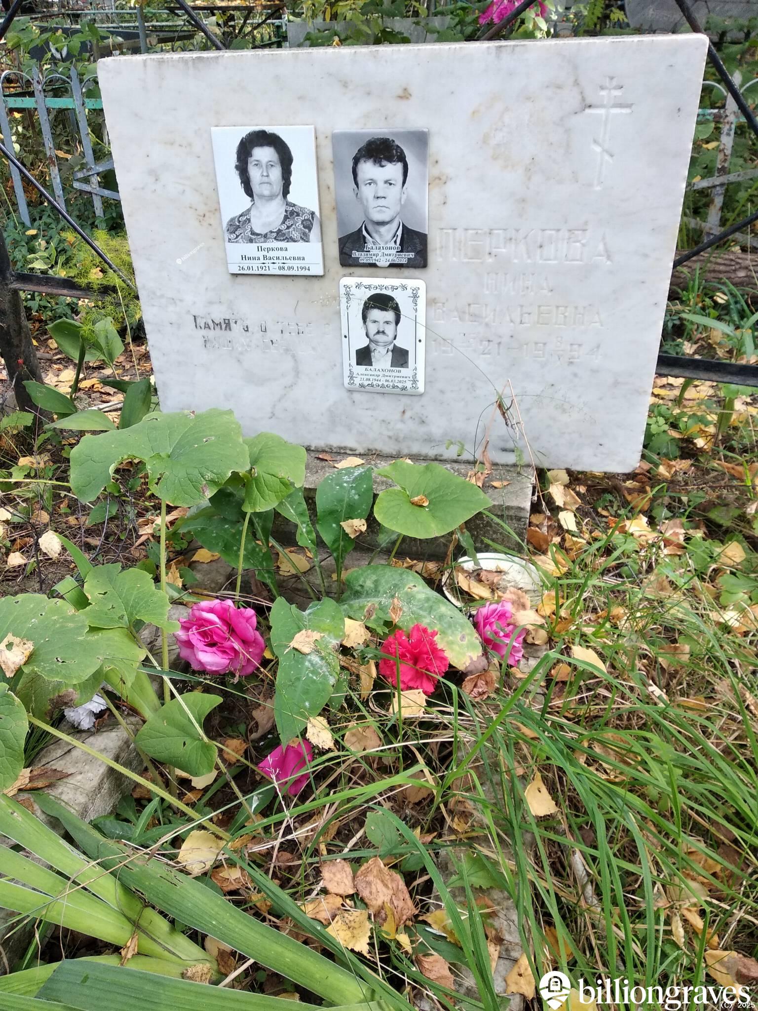 Перкова Нина Васильевна