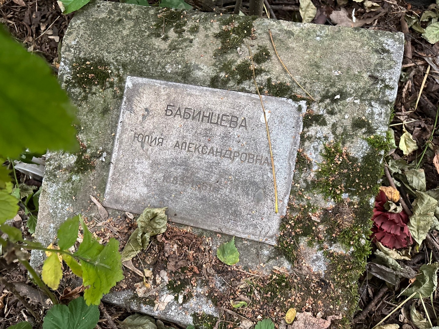 Бабинцева