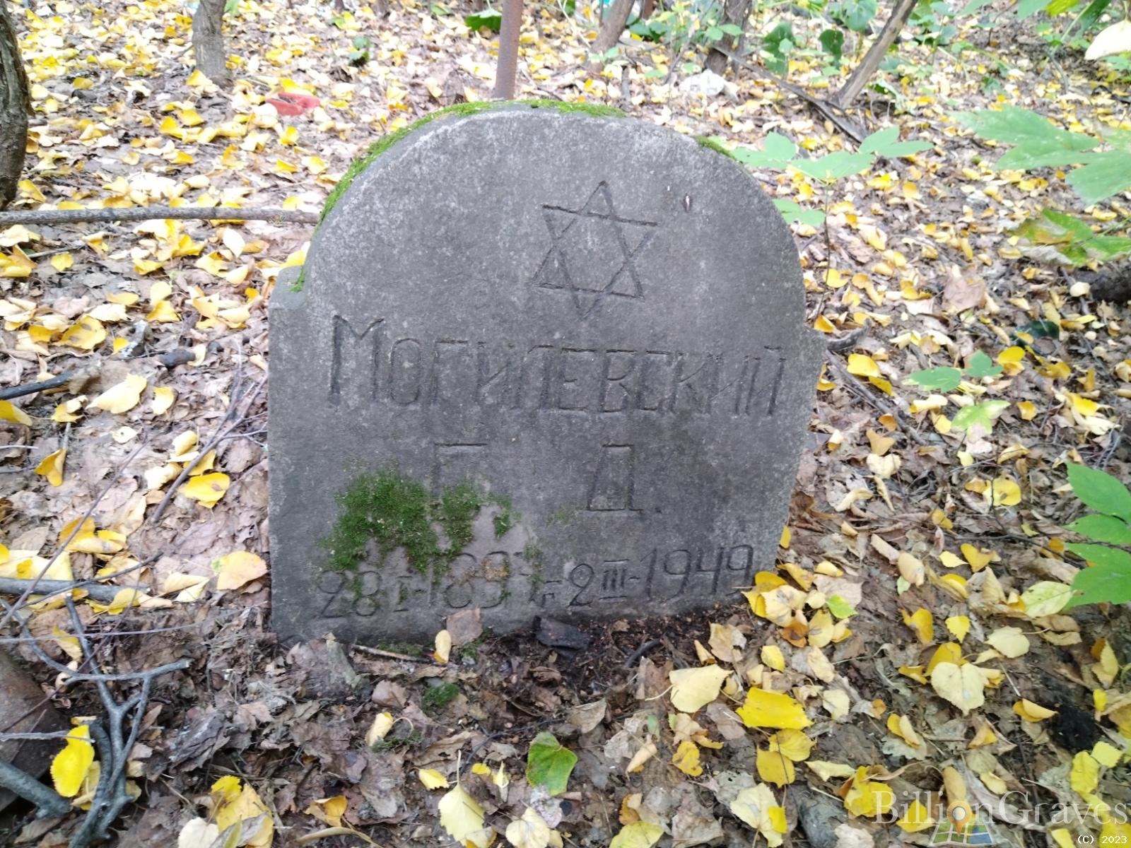 Могилевский С. Д.