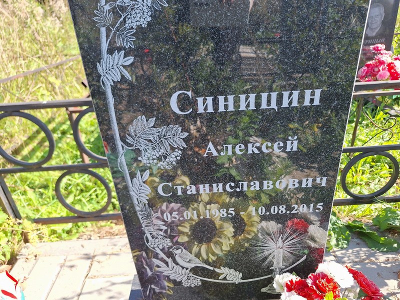 Синицин