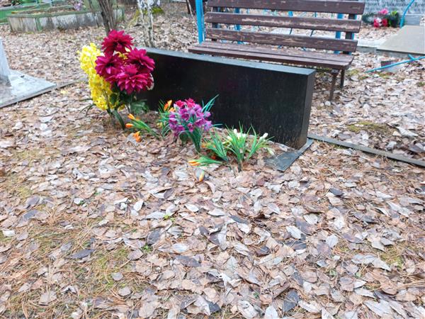 Никифоров Владимир Павлович