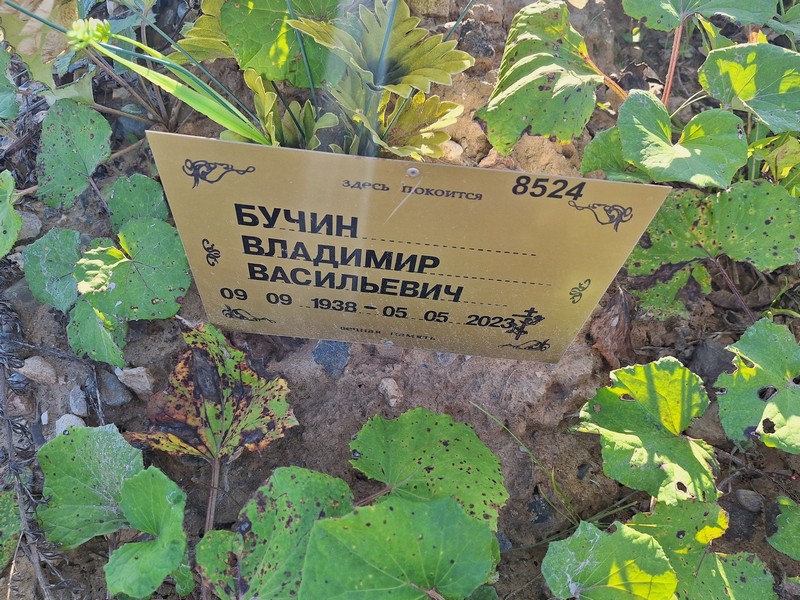Бучин