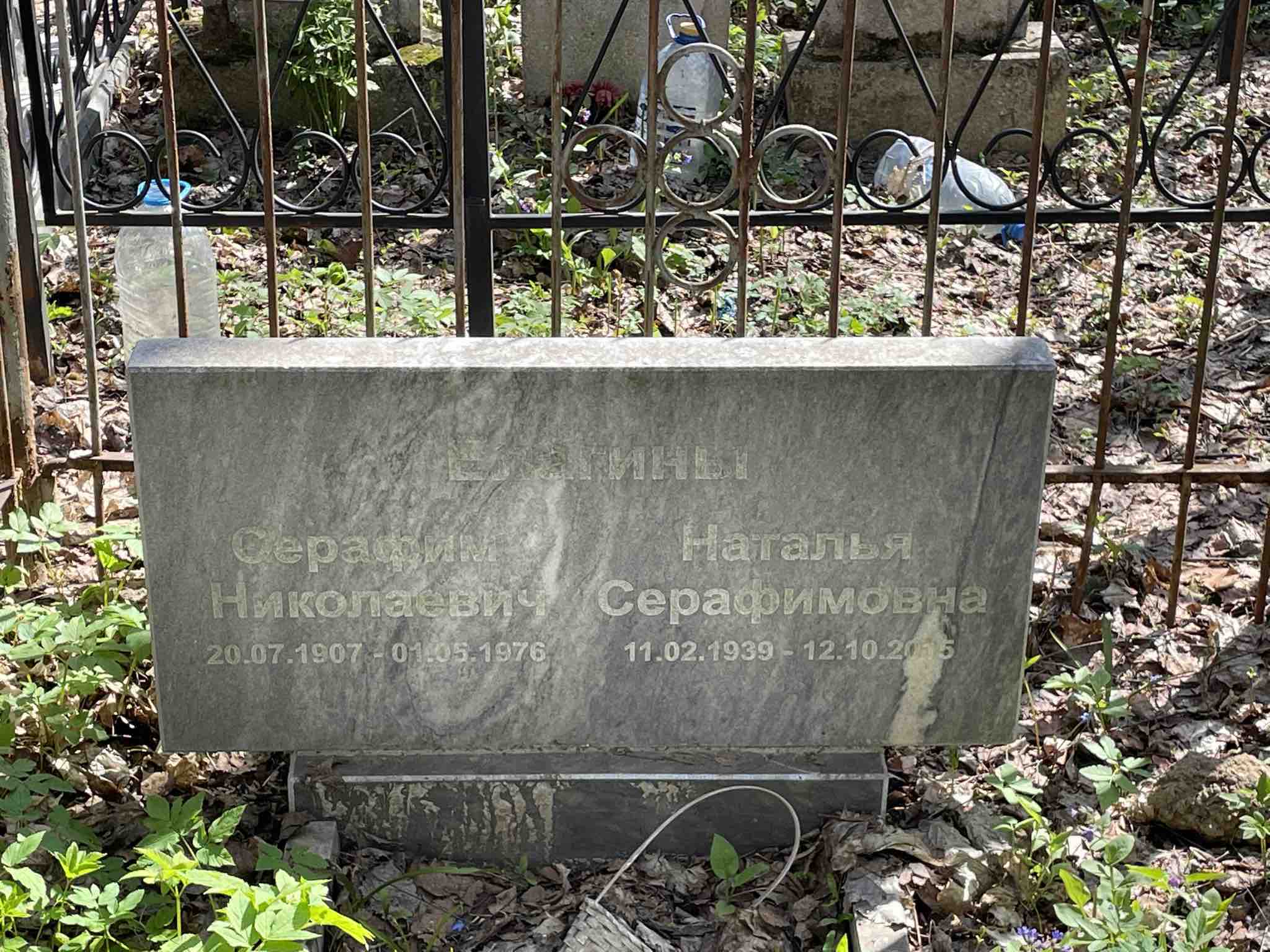 Елагин Серафим Николаевич