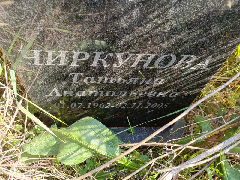 Чиркунова