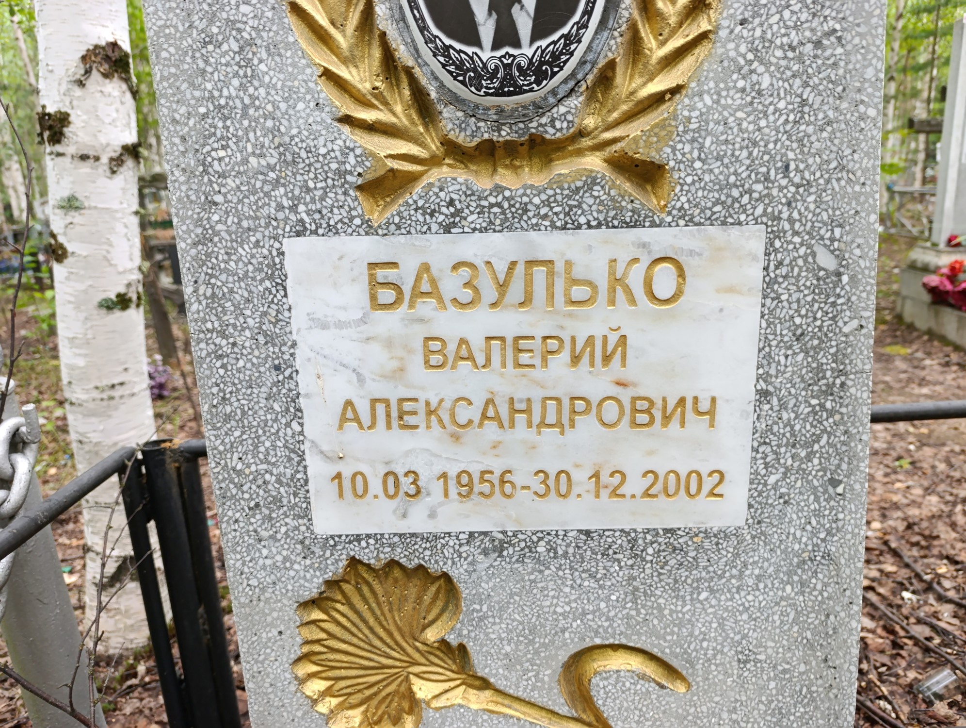 Базулько Валерий Александрович