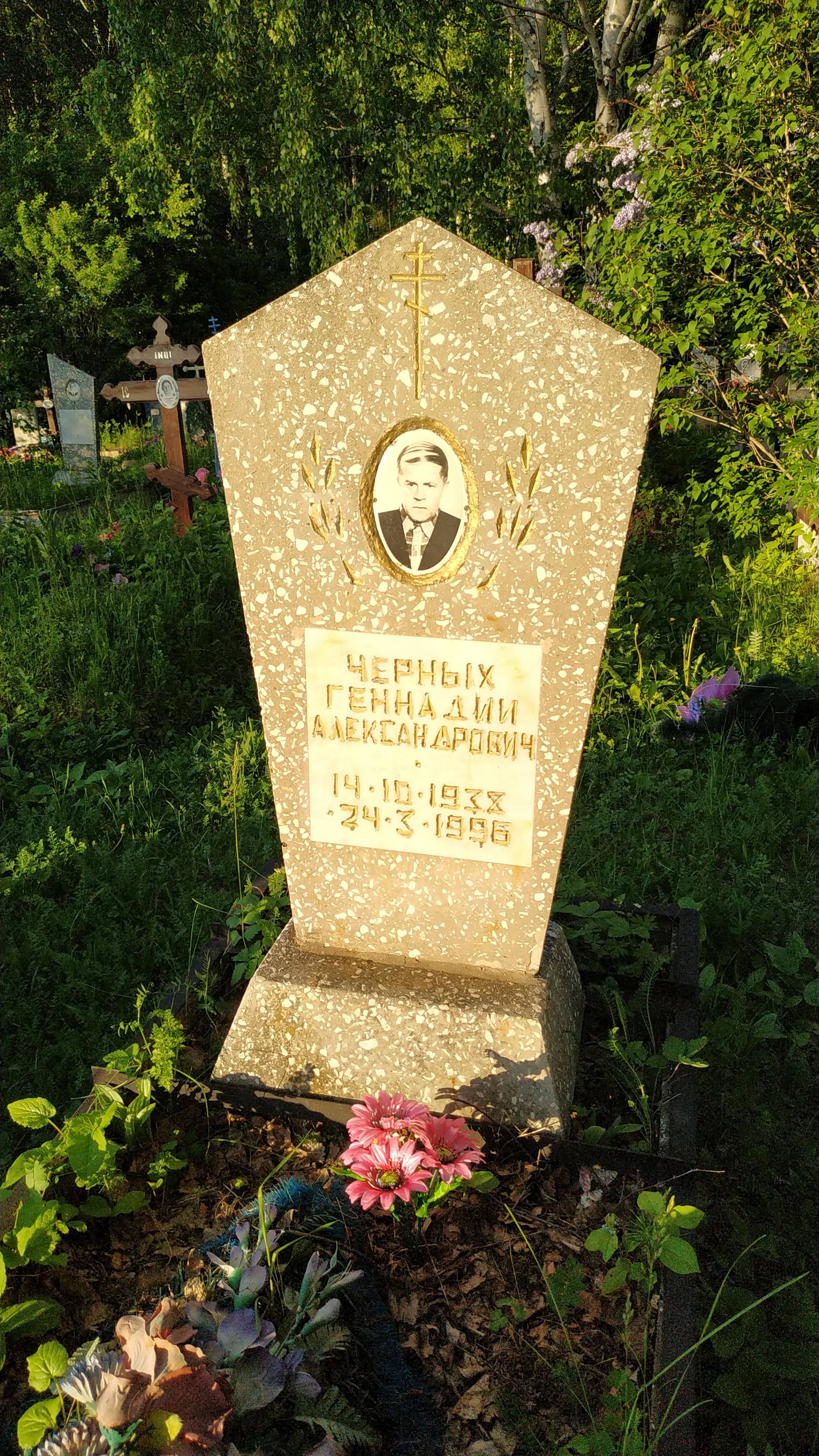 Черных Геннадий Александрович