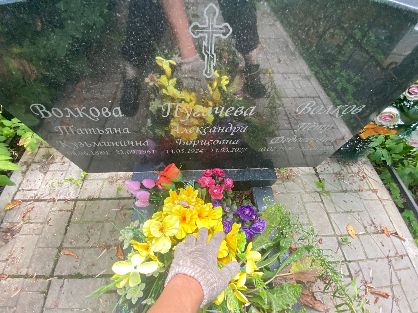 Волкова