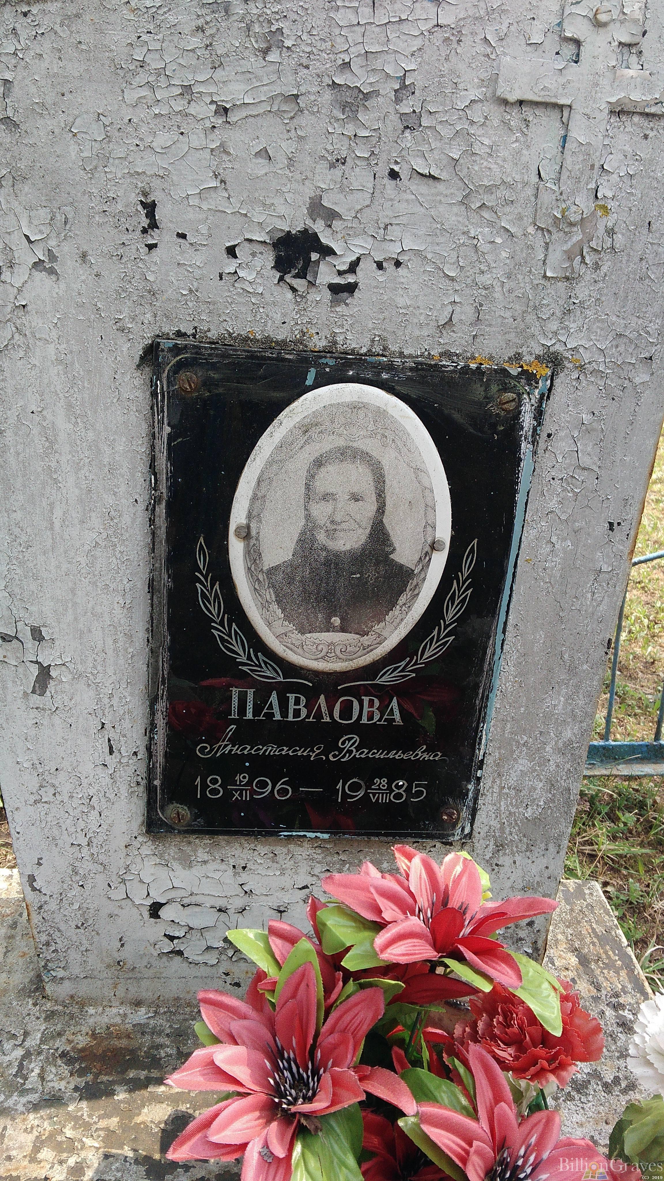 Павлова Анастасия Васильевна