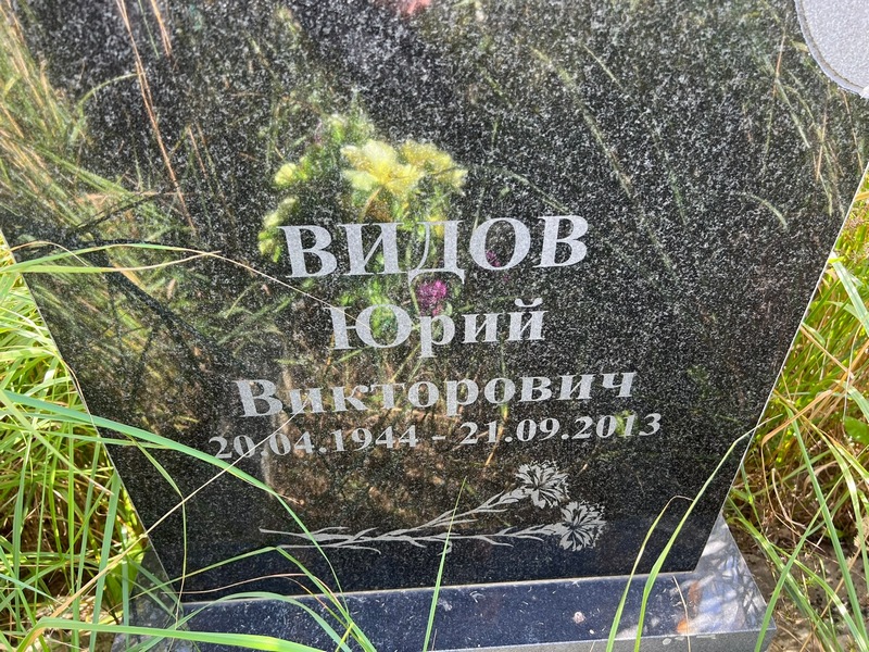 Видов