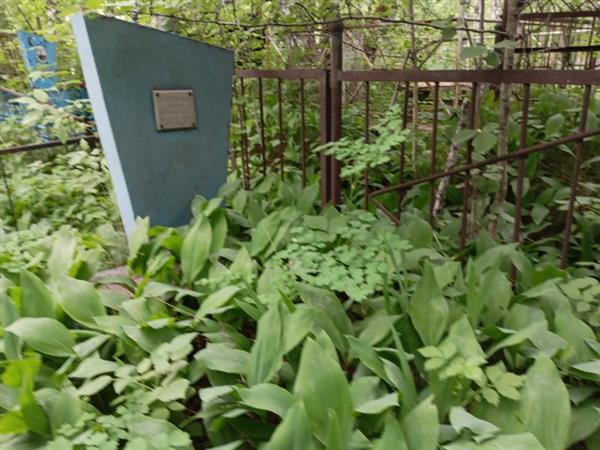 Сатдаров Вафа Хусаинович