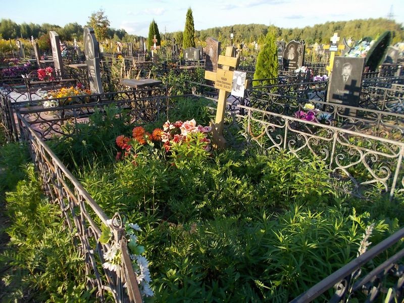 Чебан Елена Сергеевна