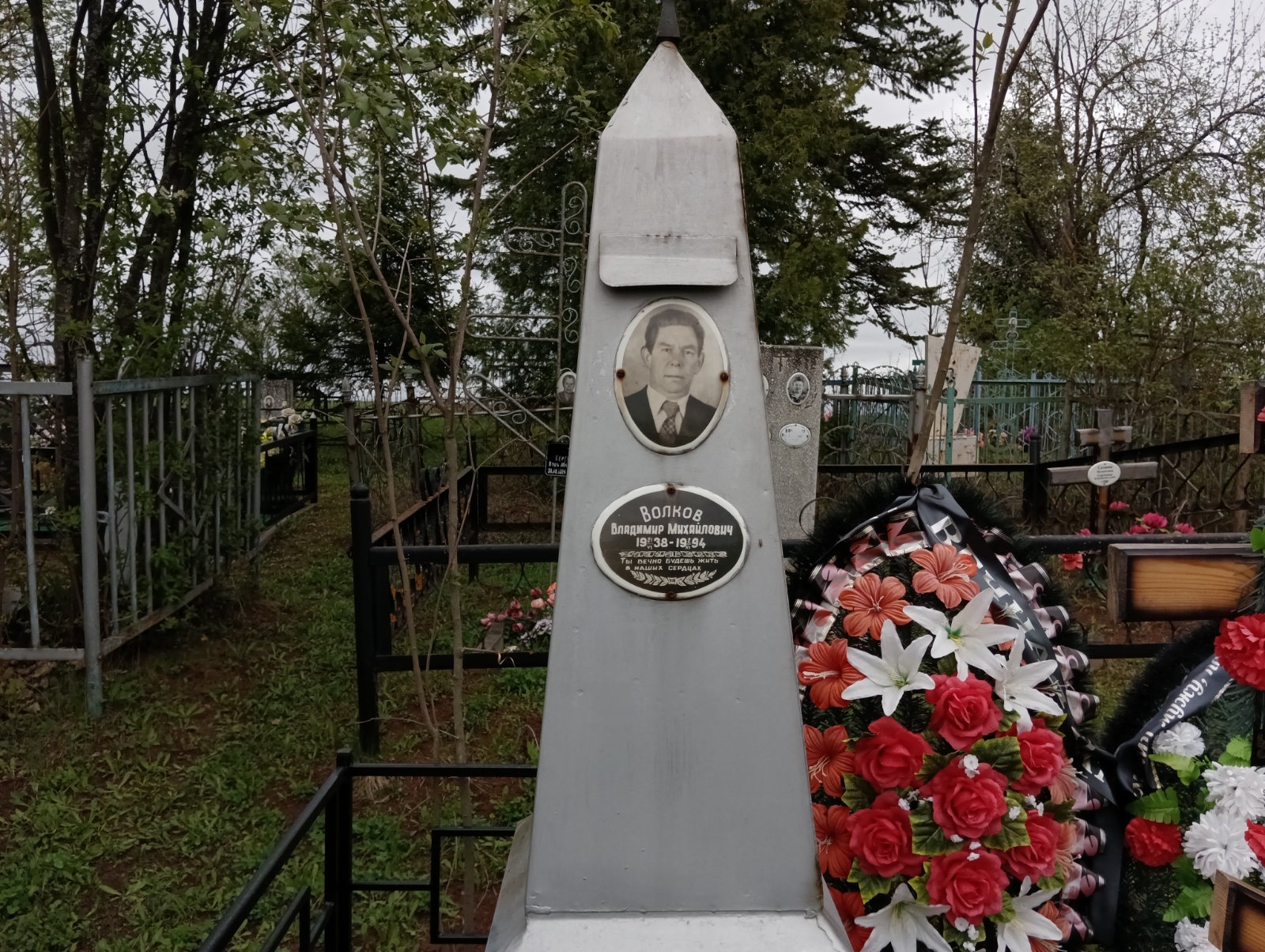 Волков Владимир Михайлович