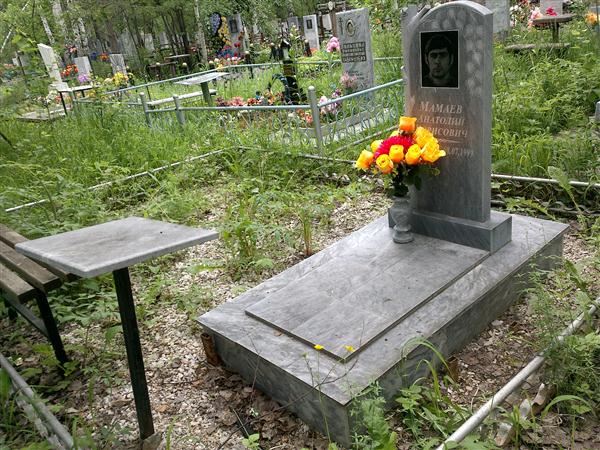 Мамаев Анатолий Борисович