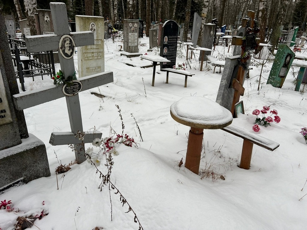 Логинова Вера Павловна