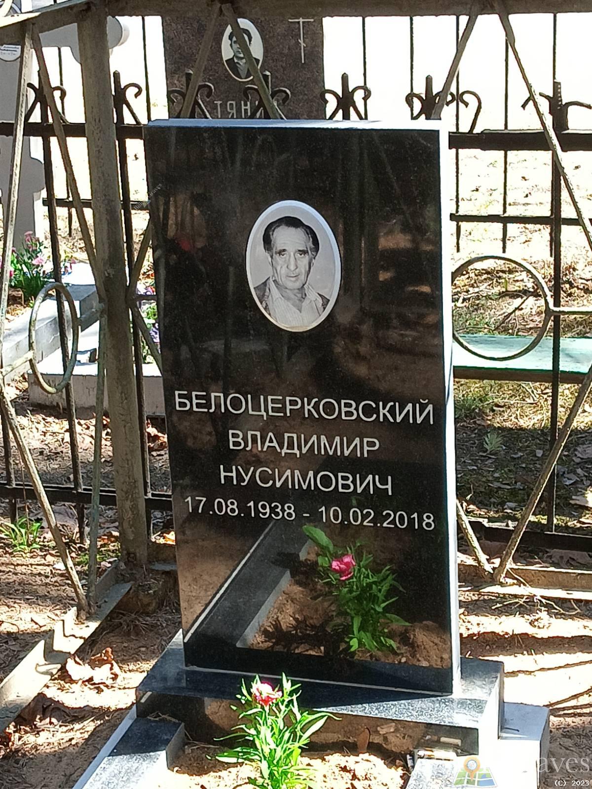 Белоцерковский Владимир Нусимович