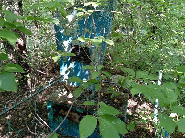 Зуборева Анастасия Ивановна