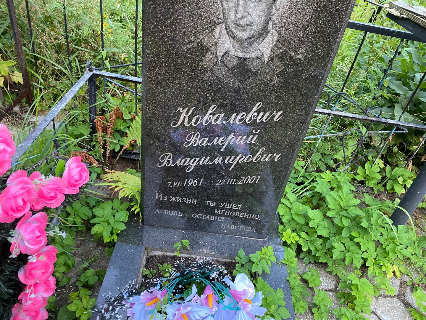 Ковалевич