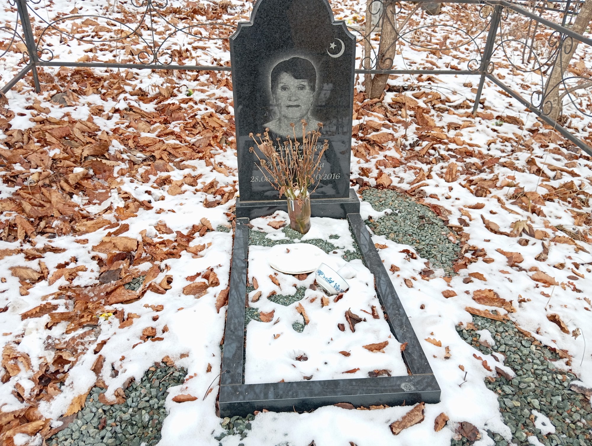 Галиахметова Альбина Мавлютовна