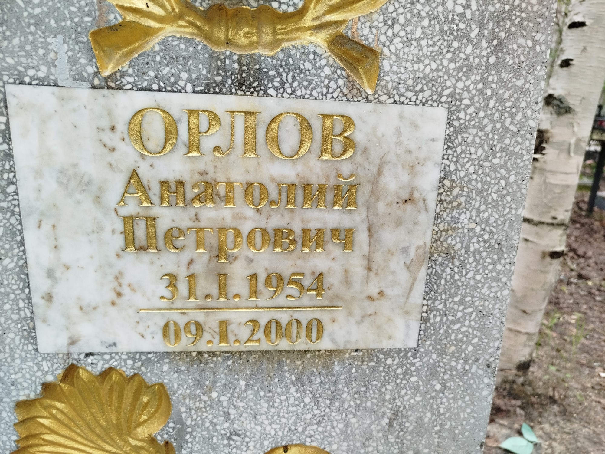 Орлов Анатолий Петрович