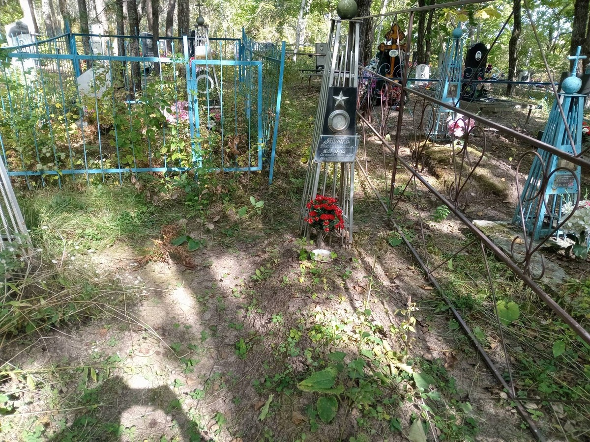 Яценко Николай Николаевич