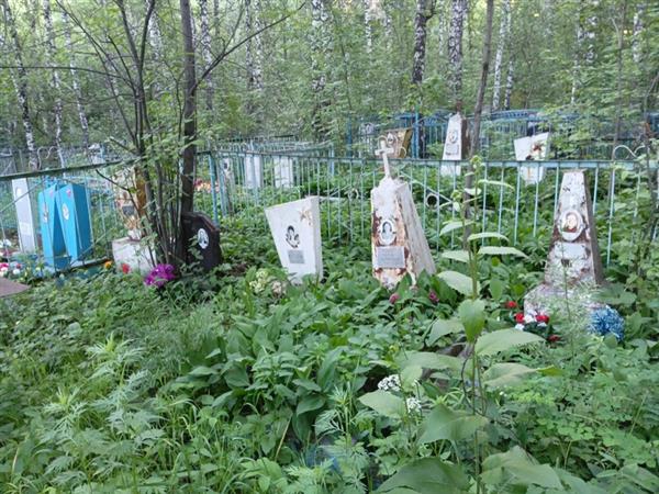 Ковшаров Сергей Юрьевич