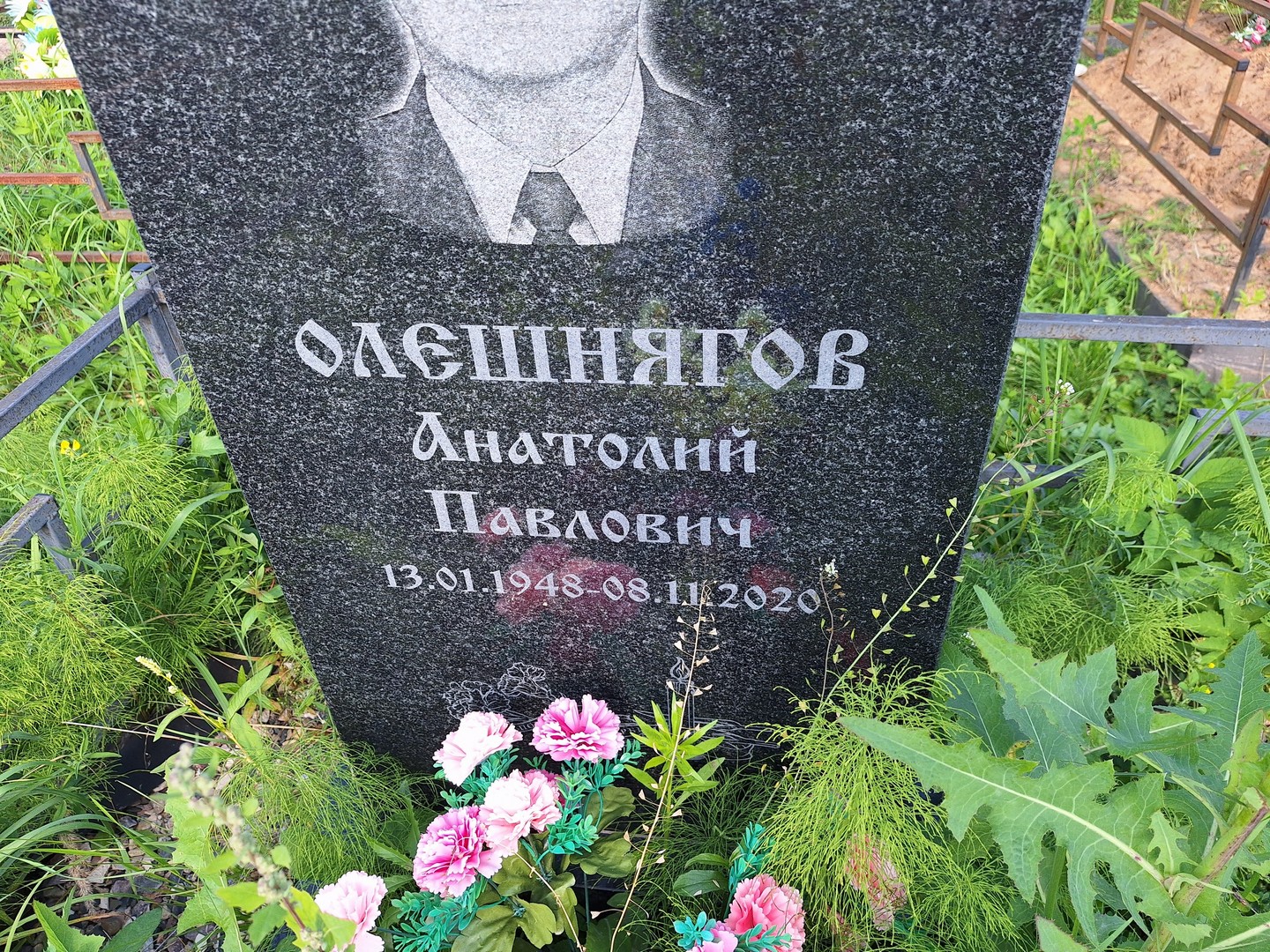 Олешнягов
