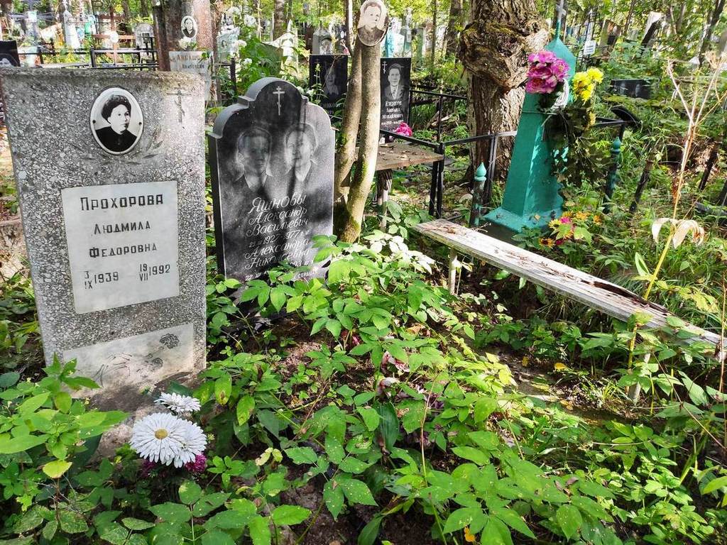 Яшнова Александра Николаевна