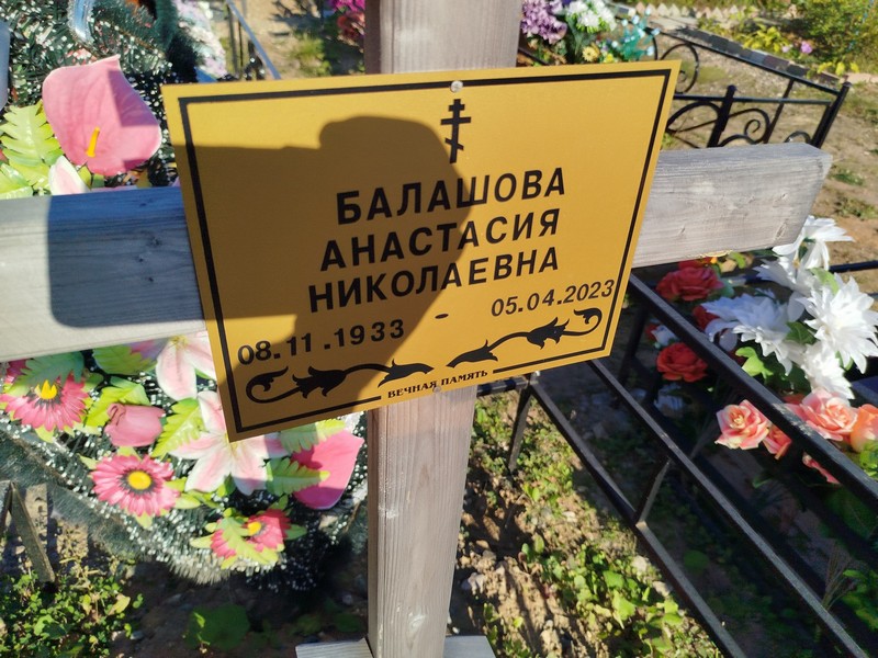 Балашова Анастасия Николаевна