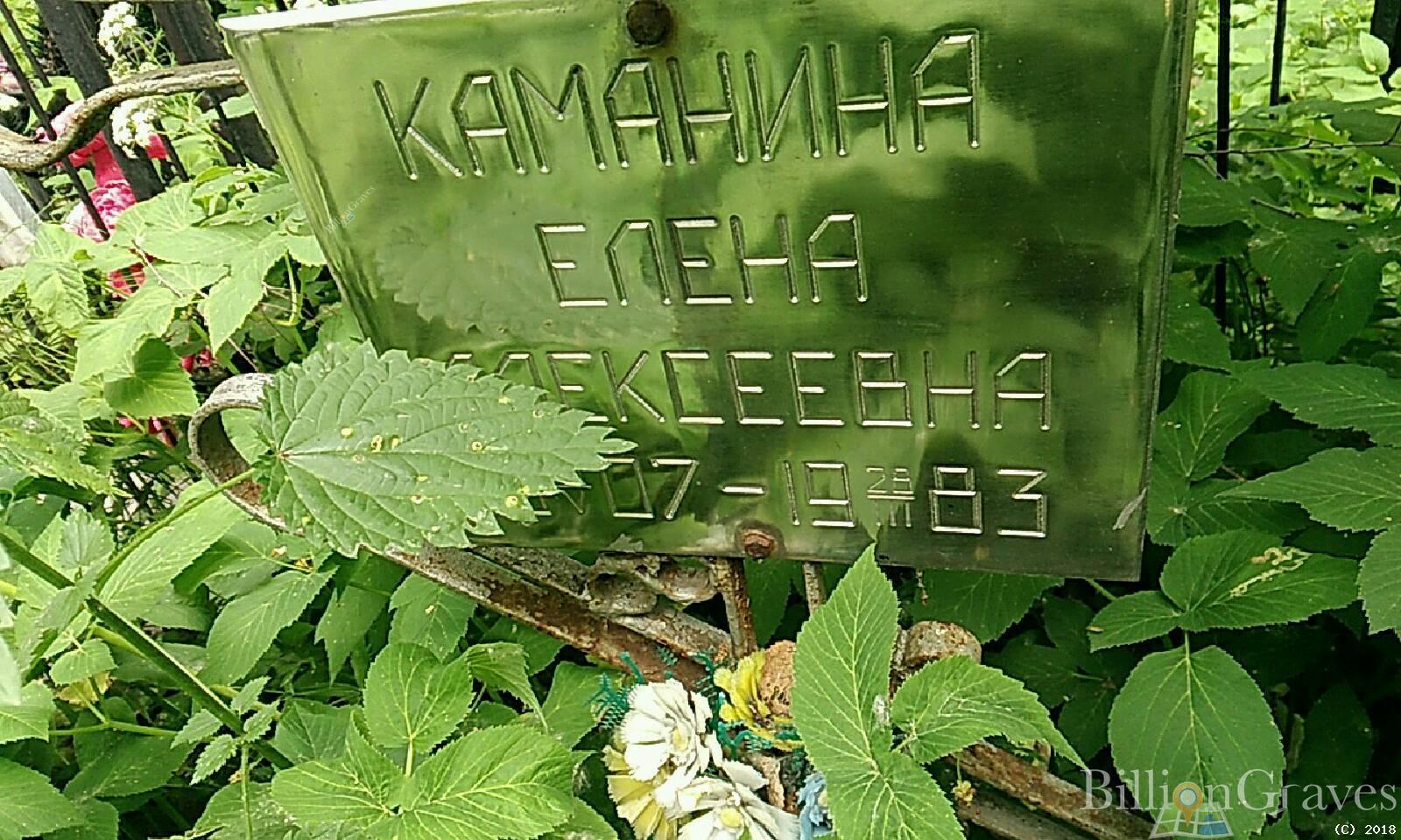 Каманина Елена Алексеевна
